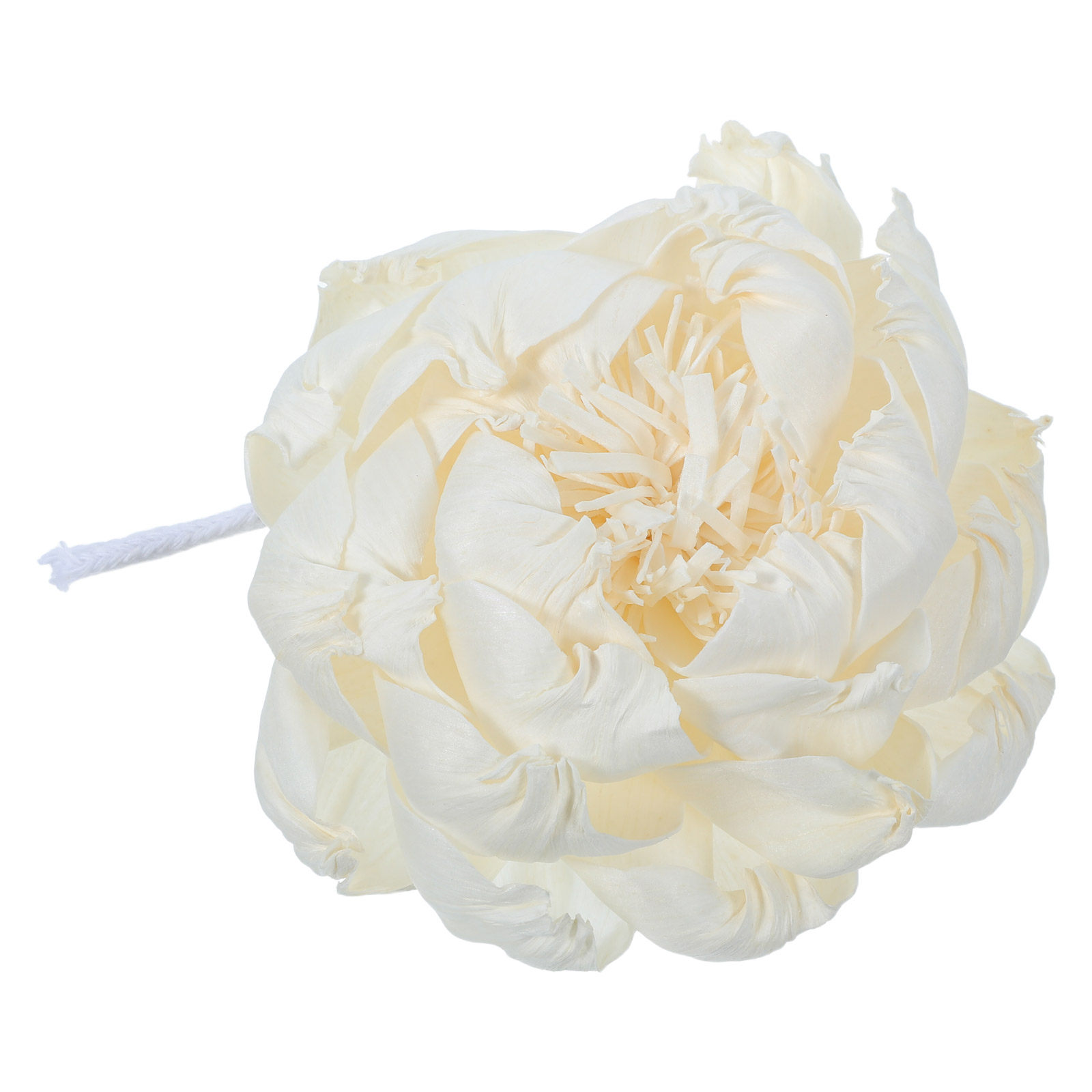 Pioenroos Geurverspreider 12Cm - Home Fragrance Oil Diffuser recensie en prijs